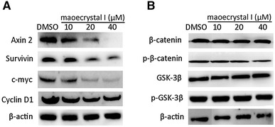 Fig. 4