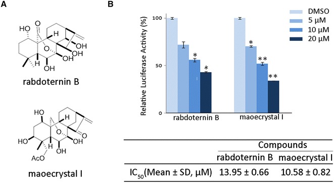 Fig. 1