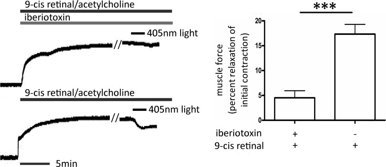 Fig. 8.