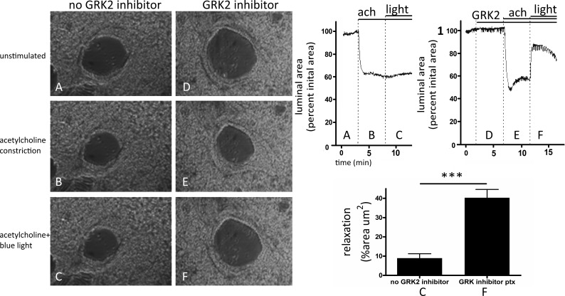 Fig. 9.