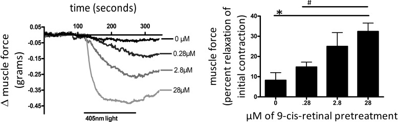 Fig. 7.