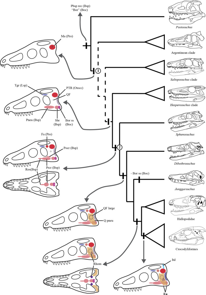 Figure 14