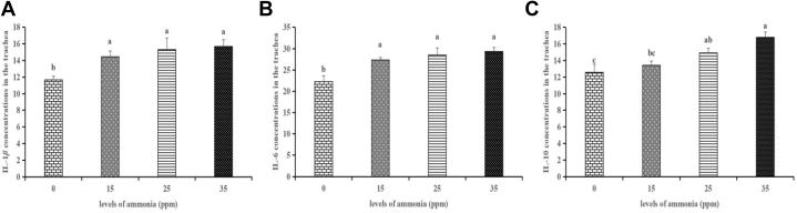 Figure 7