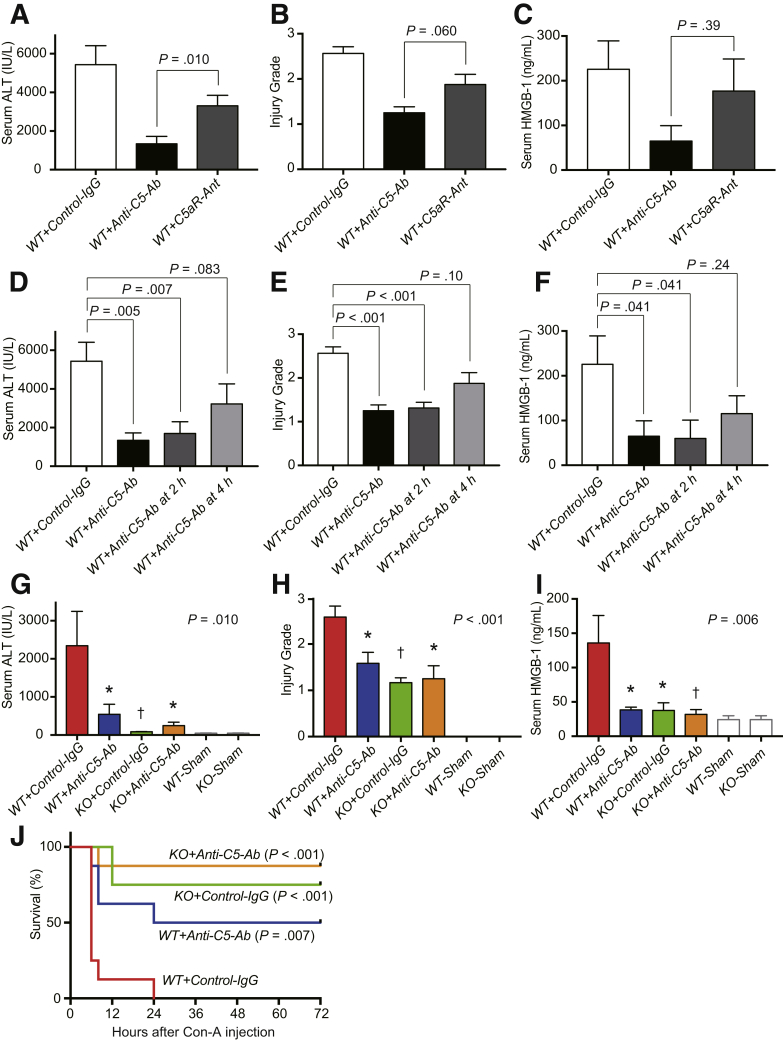 Figure 6