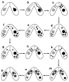 Fig. 1.