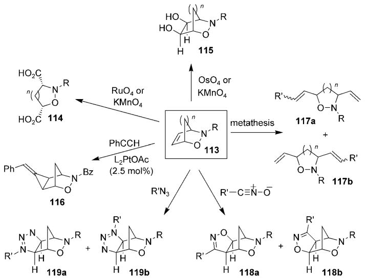 Scheme 22