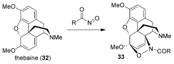 Scheme 5