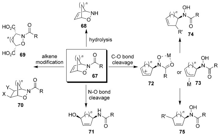 Scheme 12