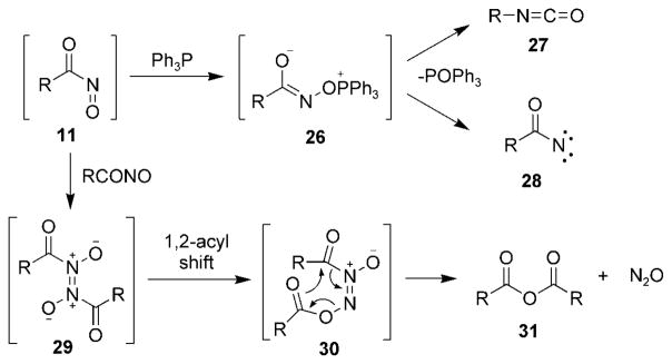 Scheme 4