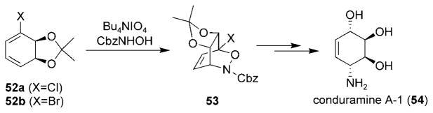 Scheme 8