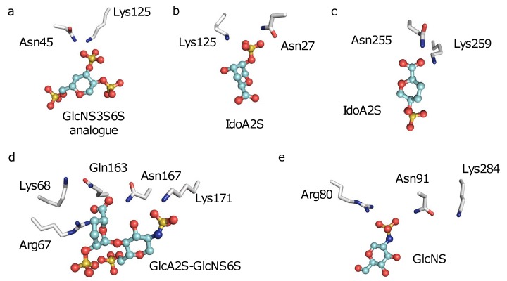 Fig 5