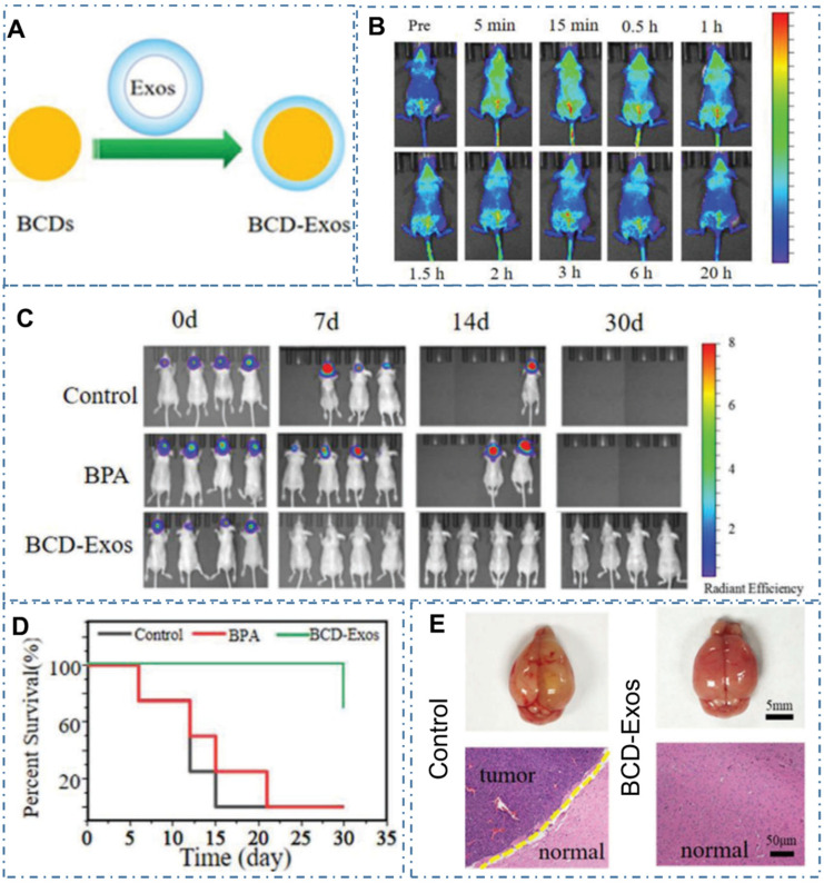 Figure 20