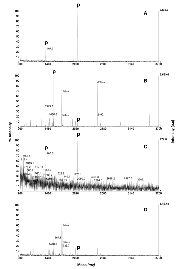 FIGURE 3