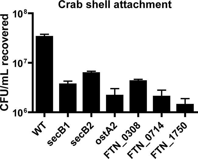 FIG. 9.