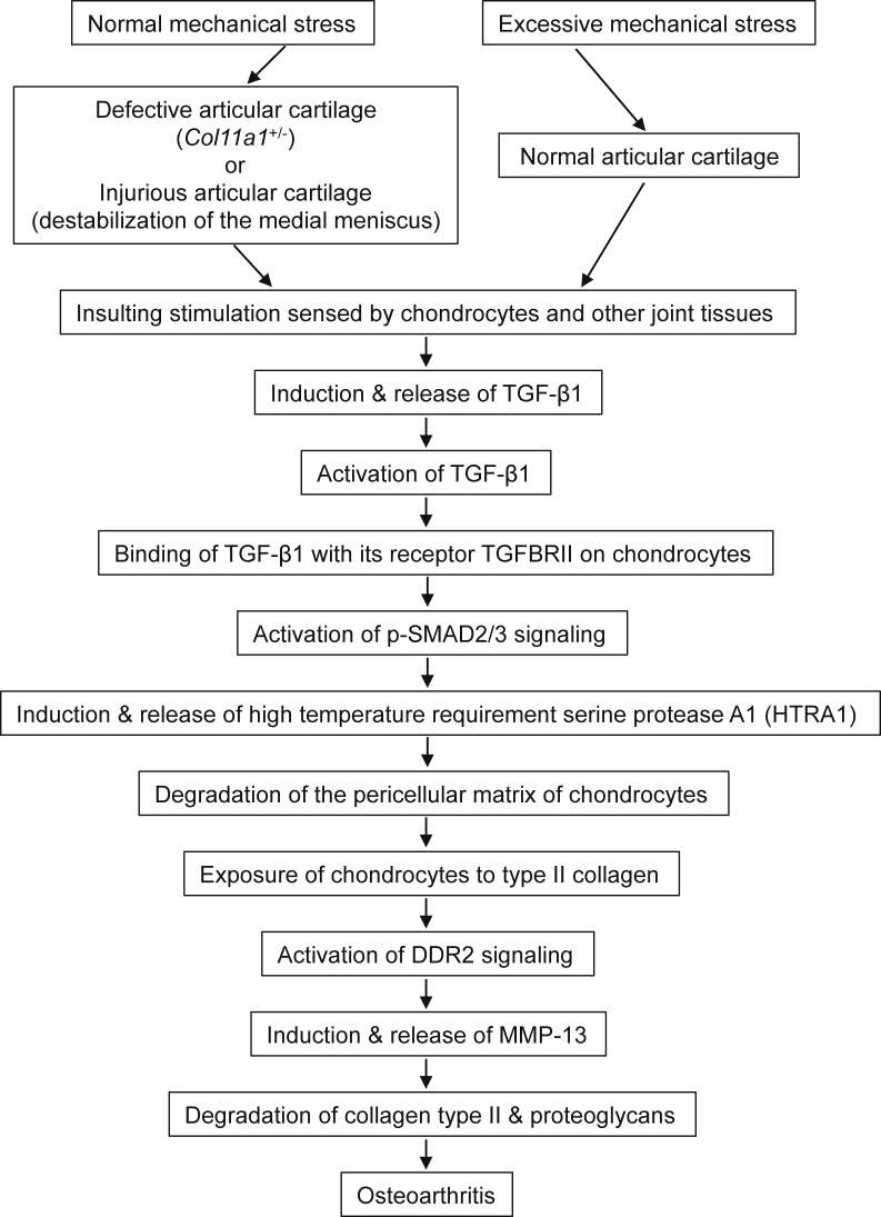 Figure 10