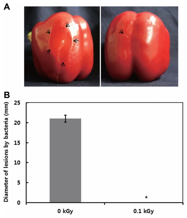 Fig. 5