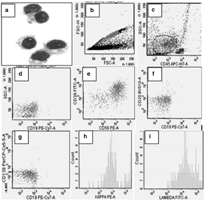 Fig. 1