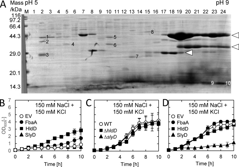 Figure 5.