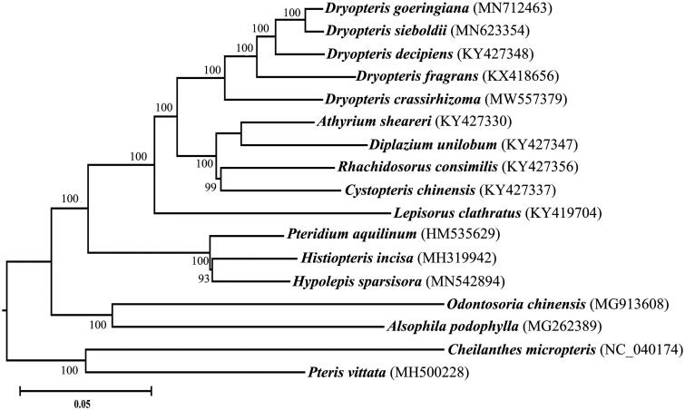 Figure 1.