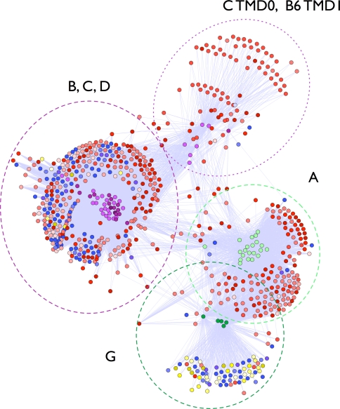 Fig. 4