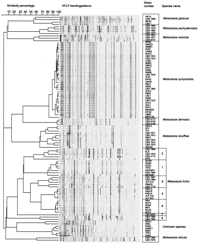 FIG. 1.