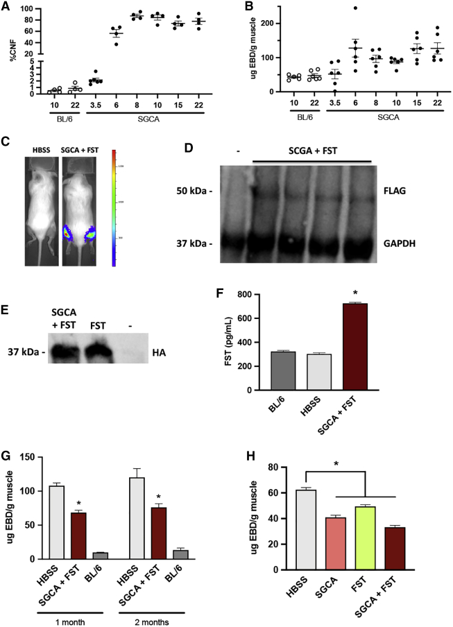 Figure 3