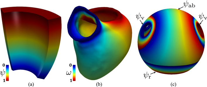 Fig. 5