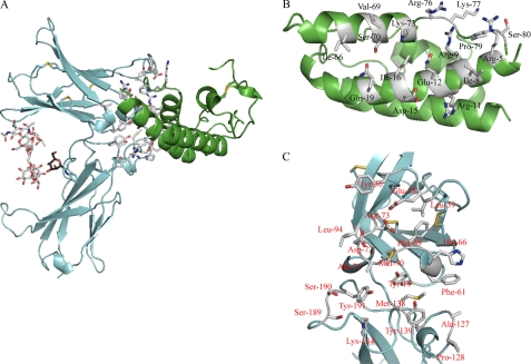 FIGURE 1.