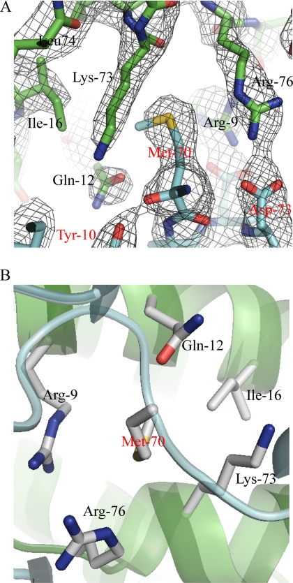 FIGURE 2.