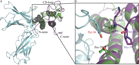 FIGURE 3.