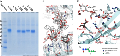 FIGURE 4.