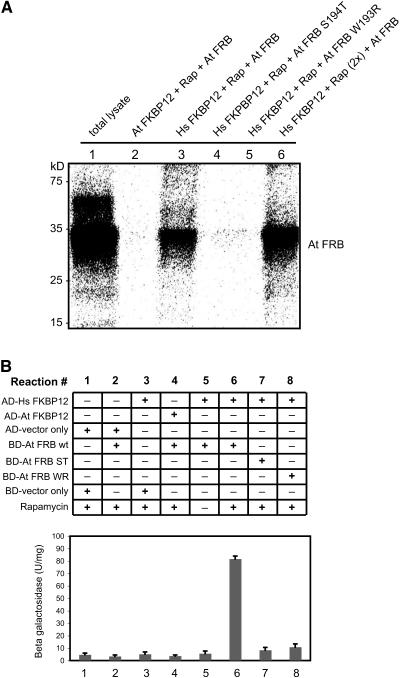 Figure 9.