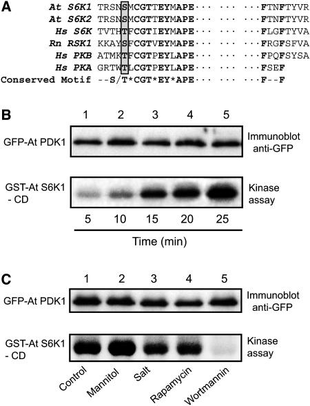 Figure 6.