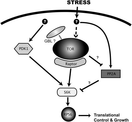 Figure 10.