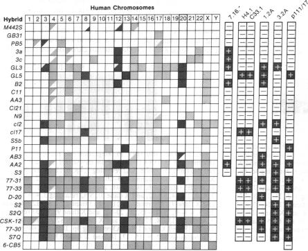 graphic file with name pnas00269-0177-a.jpg