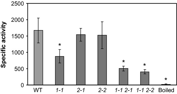 Figure 9