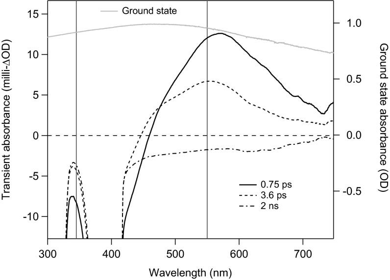 Fig. 1.