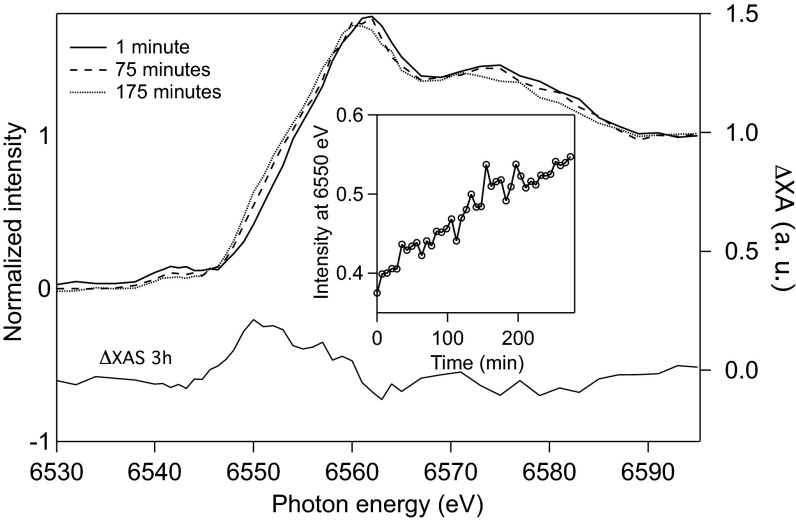 Fig. 3.