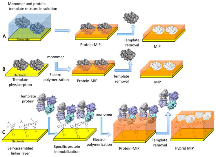 Figure 12