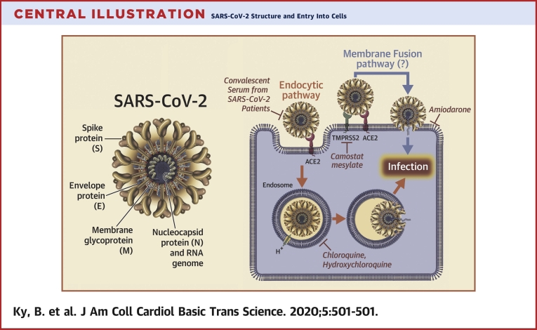 Central Illustration