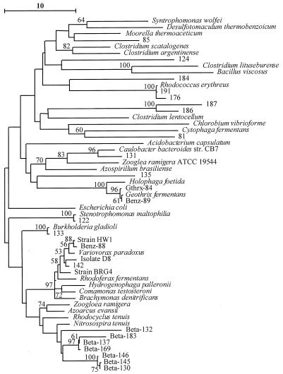 FIG. 6