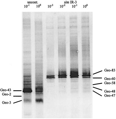 FIG. 7