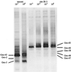 FIG. 7