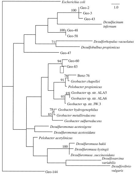 FIG. 5