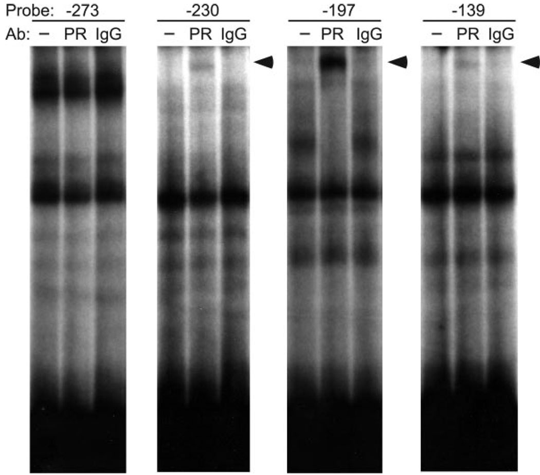 Fig. 10