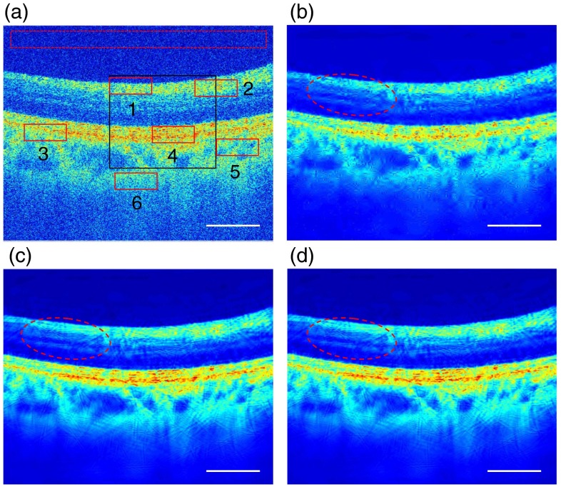 Fig. 2