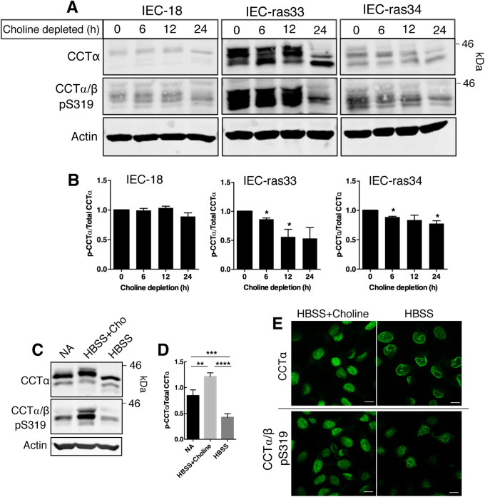 FIGURE 6: