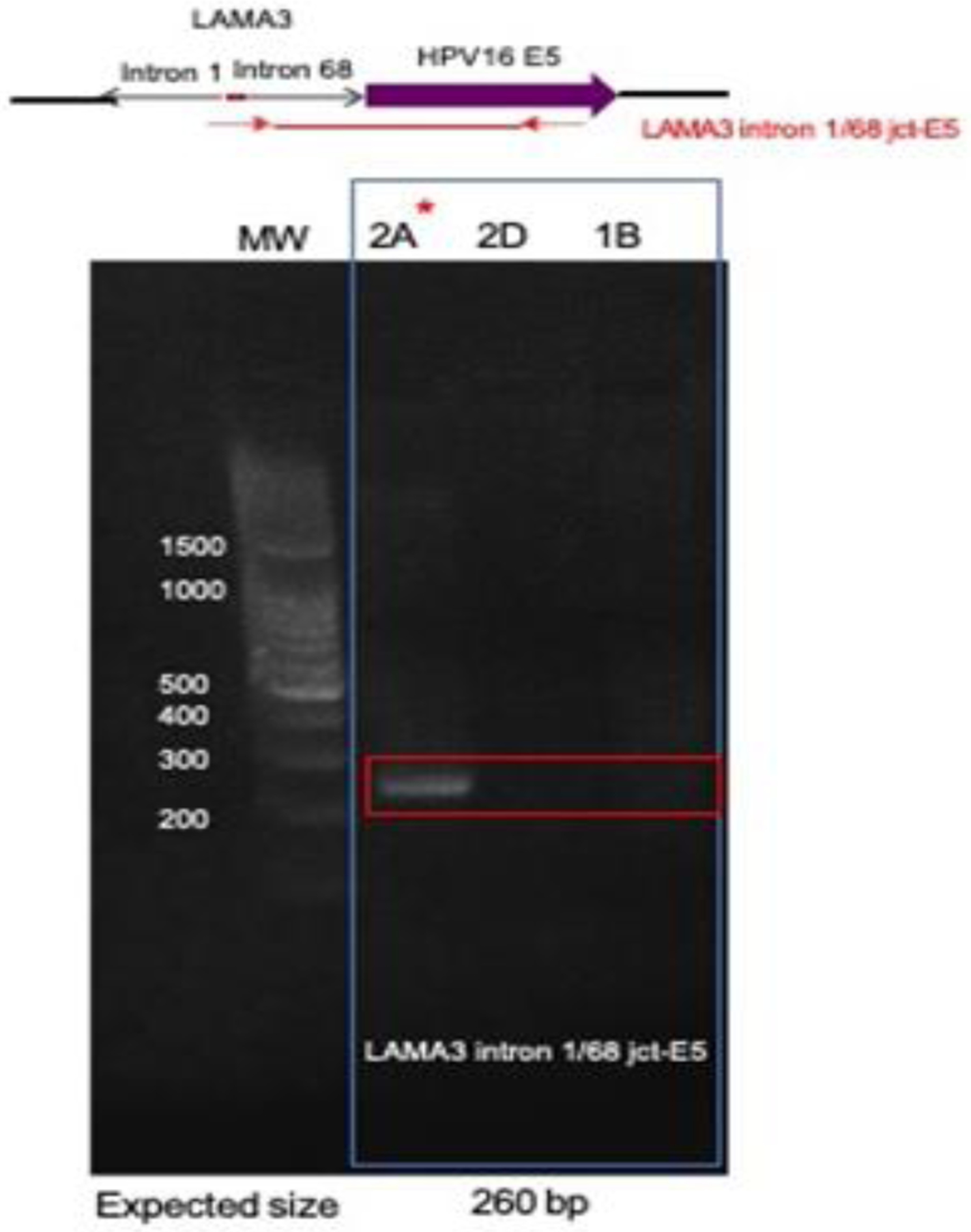 Figure 3: