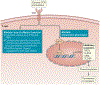 Fig. 3 |