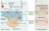 Fig. 4 |